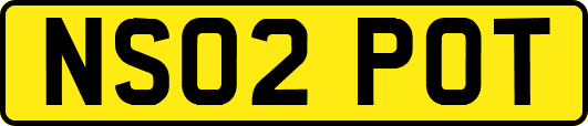 NS02POT