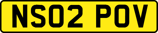 NS02POV
