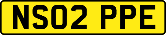 NS02PPE