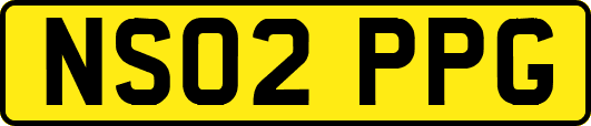 NS02PPG