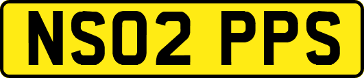 NS02PPS