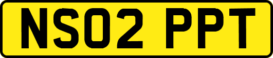 NS02PPT