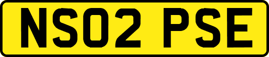 NS02PSE