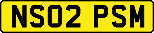NS02PSM