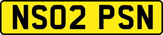 NS02PSN