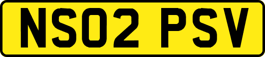 NS02PSV