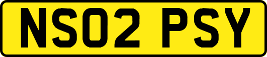 NS02PSY
