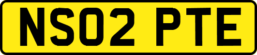NS02PTE