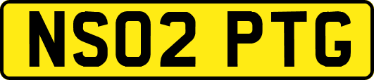 NS02PTG