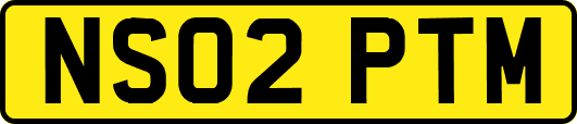 NS02PTM
