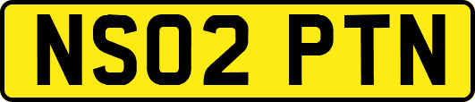 NS02PTN