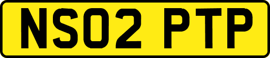 NS02PTP