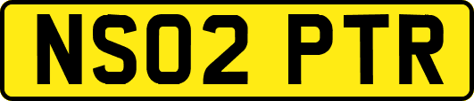 NS02PTR