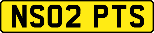 NS02PTS