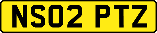 NS02PTZ