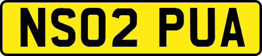 NS02PUA