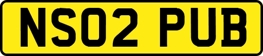 NS02PUB