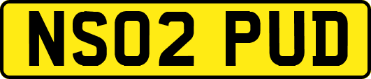 NS02PUD
