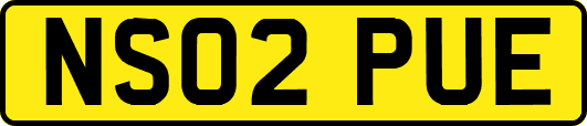 NS02PUE