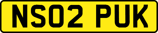 NS02PUK