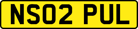 NS02PUL