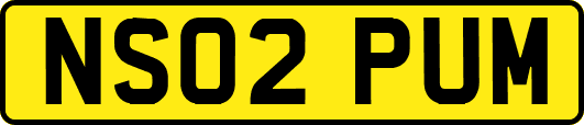 NS02PUM