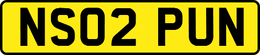 NS02PUN