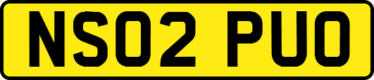 NS02PUO
