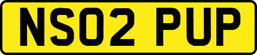 NS02PUP