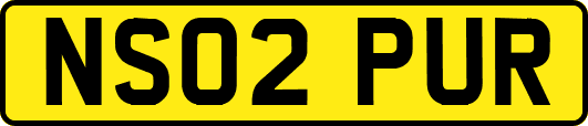 NS02PUR