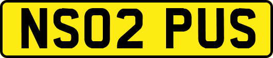 NS02PUS