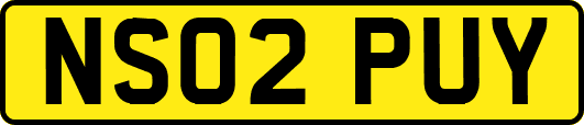 NS02PUY