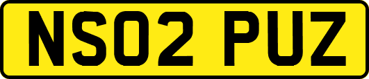 NS02PUZ