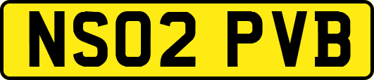 NS02PVB