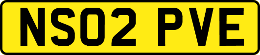 NS02PVE
