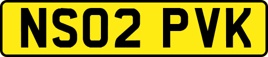 NS02PVK