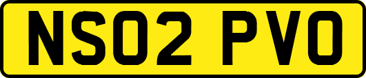 NS02PVO