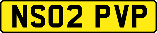 NS02PVP