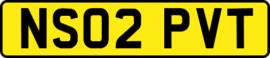 NS02PVT