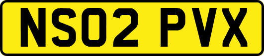 NS02PVX