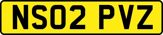 NS02PVZ