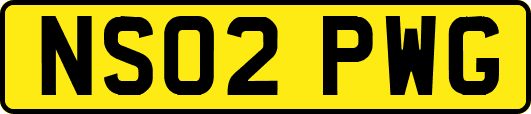 NS02PWG