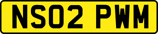 NS02PWM