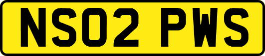 NS02PWS