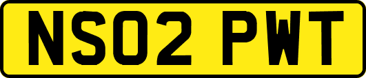 NS02PWT