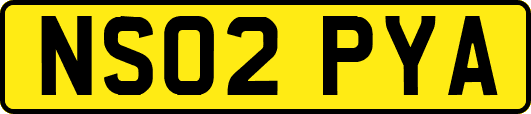 NS02PYA