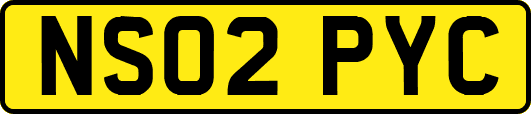 NS02PYC