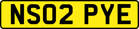 NS02PYE