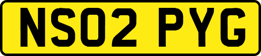 NS02PYG