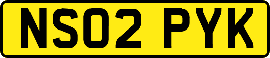 NS02PYK